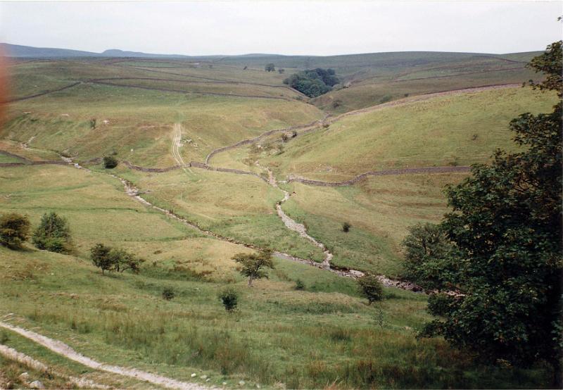 Waters Meet 3.jpg - Showing the juncton of The Scaleber and Bookil Gill Becks above Long Preston. A more recent view, taken in June 1992, of the previous image.